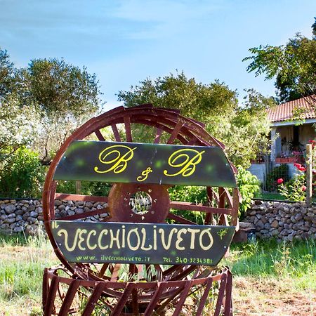 Il Vecchioliveto Di Ornella Bed & Breakfast Marrùbiu Eksteriør bilde