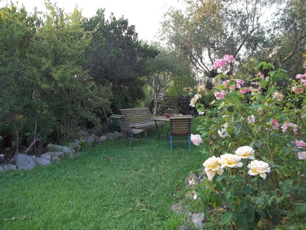 Il Vecchioliveto Di Ornella Bed & Breakfast Marrùbiu Rom bilde