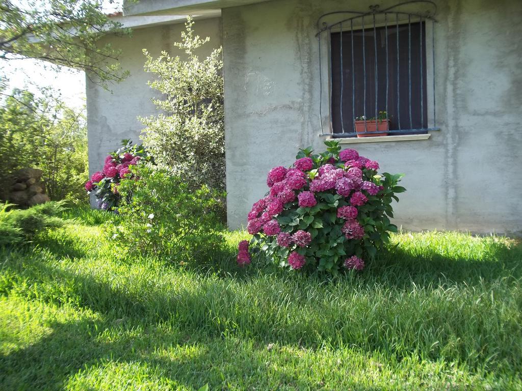 Il Vecchioliveto Di Ornella Bed & Breakfast Marrùbiu Eksteriør bilde