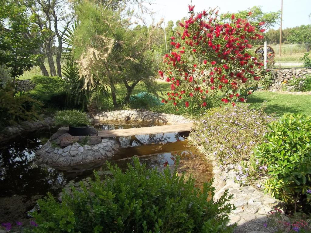 Il Vecchioliveto Di Ornella Bed & Breakfast Marrùbiu Rom bilde