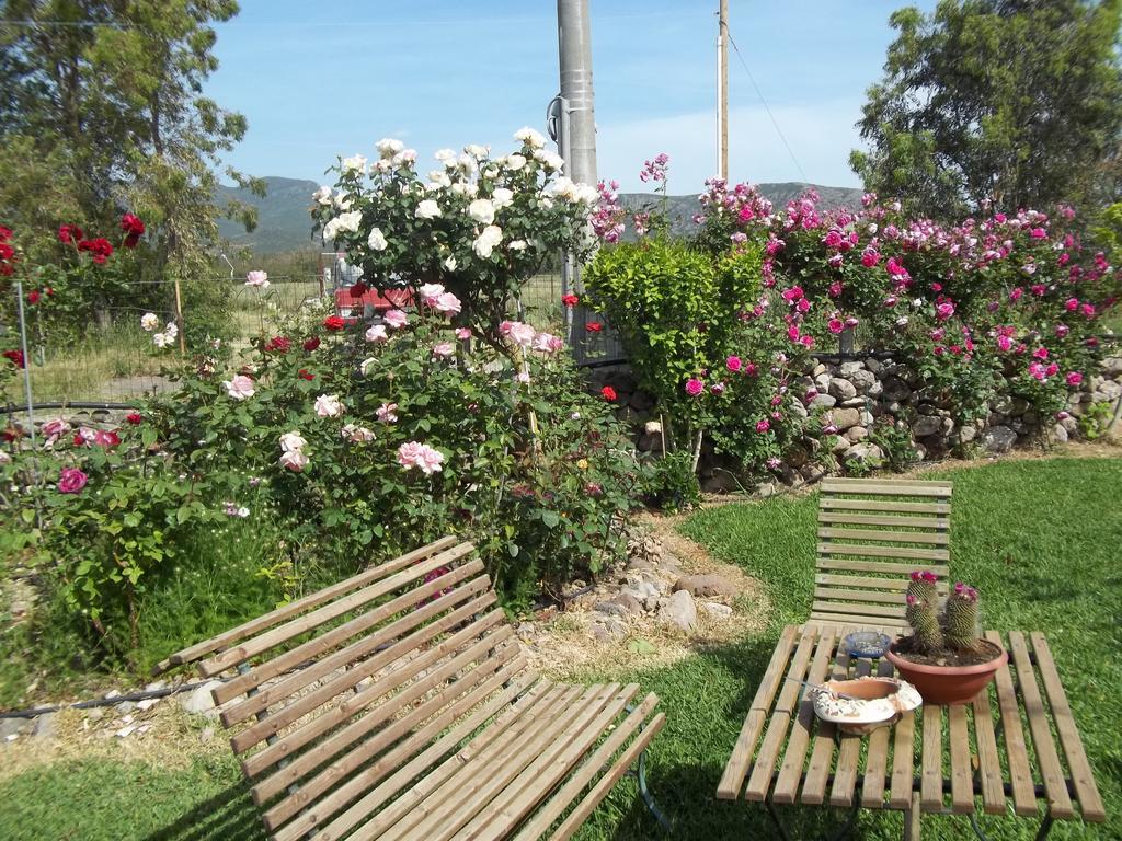 Il Vecchioliveto Di Ornella Bed & Breakfast Marrùbiu Rom bilde