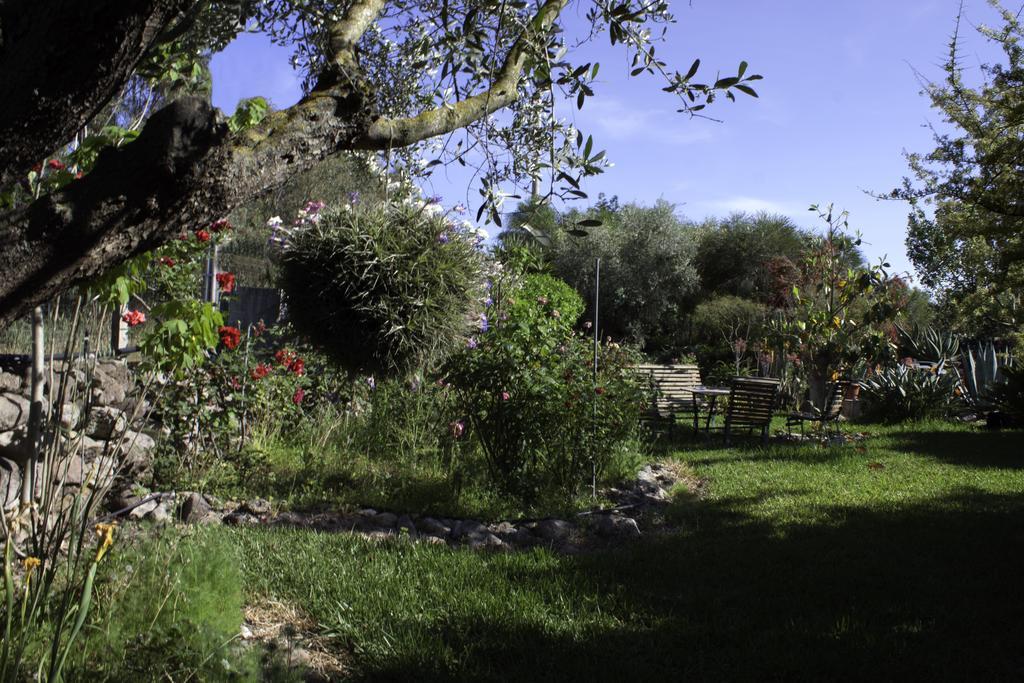 Il Vecchioliveto Di Ornella Bed & Breakfast Marrùbiu Eksteriør bilde
