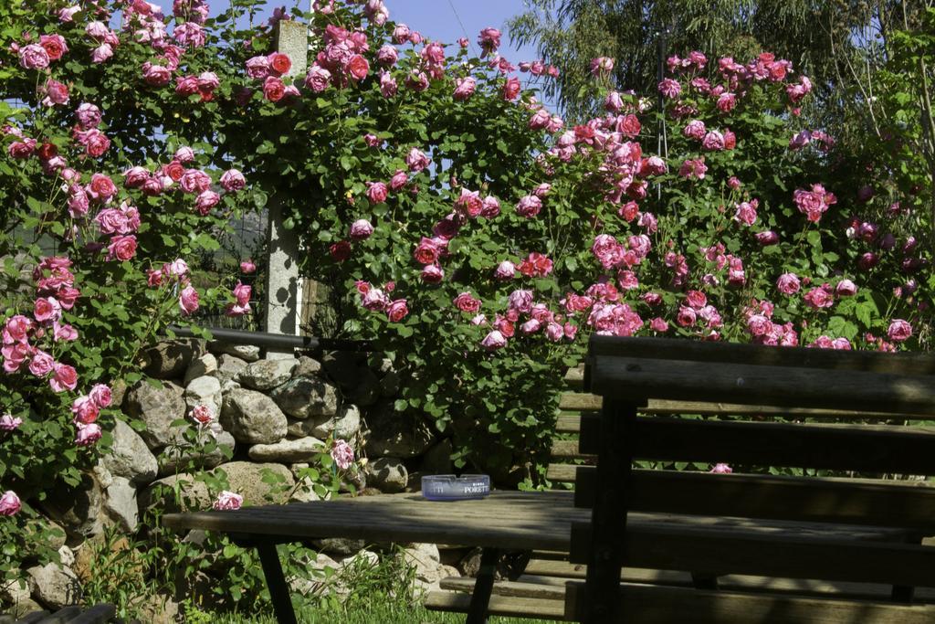Il Vecchioliveto Di Ornella Bed & Breakfast Marrùbiu Eksteriør bilde