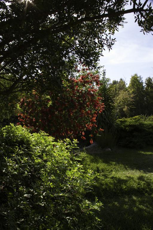 Il Vecchioliveto Di Ornella Bed & Breakfast Marrùbiu Eksteriør bilde
