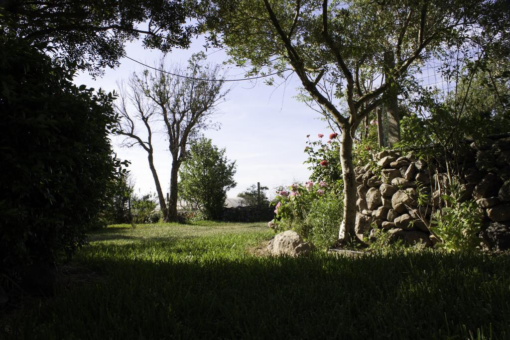 Il Vecchioliveto Di Ornella Bed & Breakfast Marrùbiu Eksteriør bilde