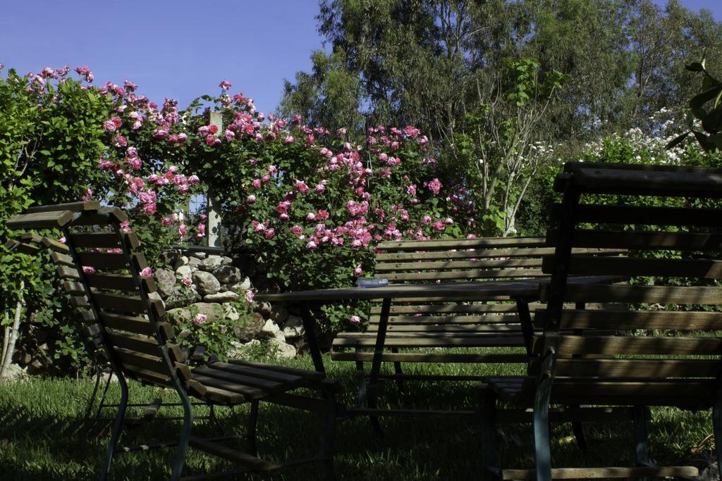 Il Vecchioliveto Di Ornella Bed & Breakfast Marrùbiu Eksteriør bilde