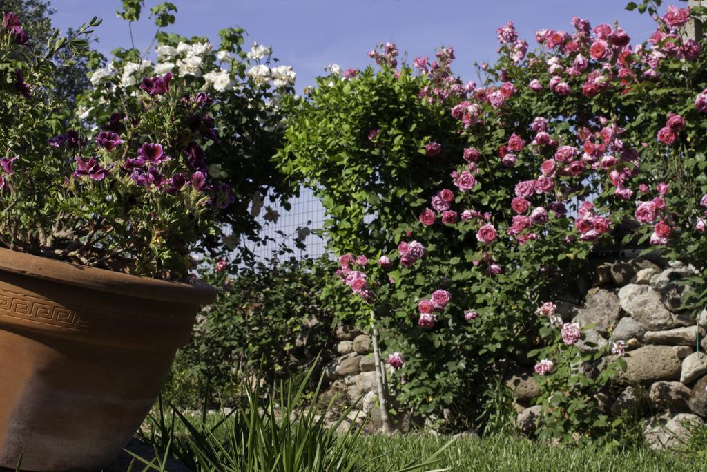 Il Vecchioliveto Di Ornella Bed & Breakfast Marrùbiu Eksteriør bilde