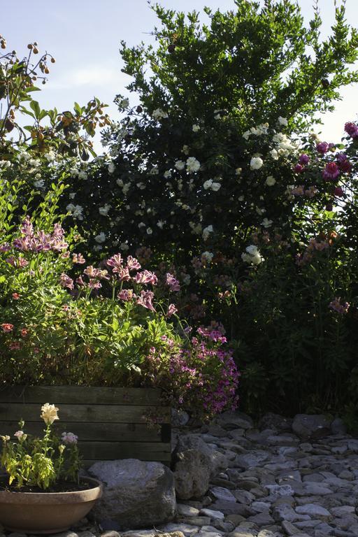 Il Vecchioliveto Di Ornella Bed & Breakfast Marrùbiu Eksteriør bilde