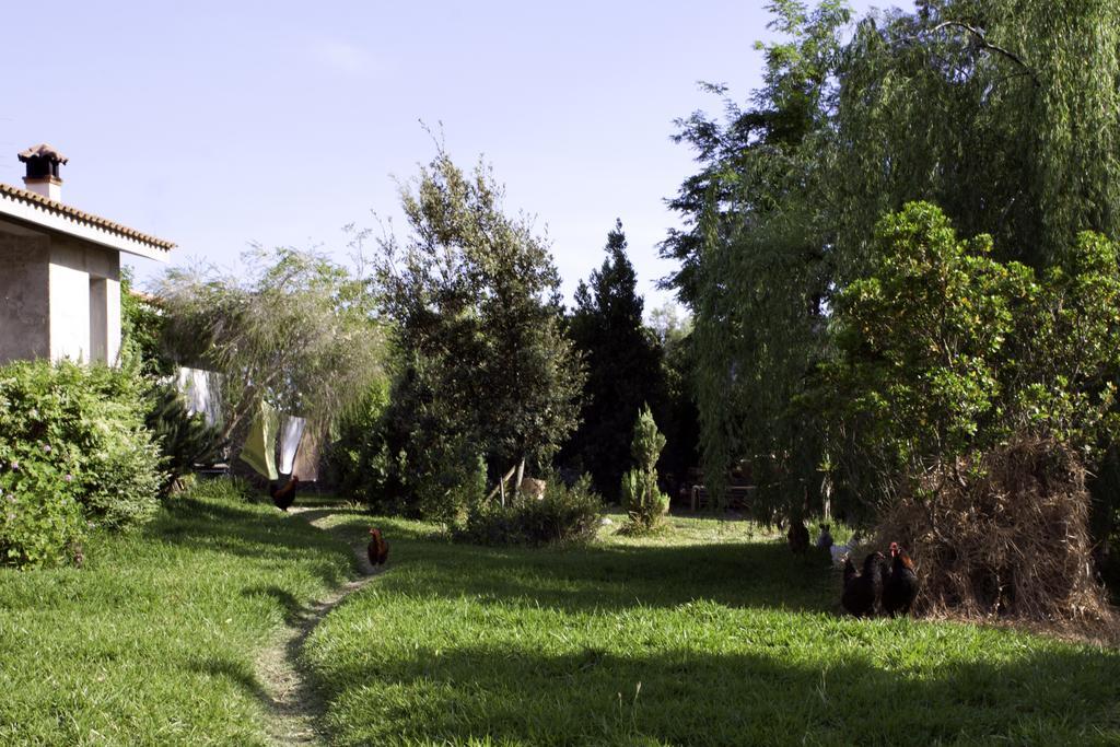 Il Vecchioliveto Di Ornella Bed & Breakfast Marrùbiu Eksteriør bilde