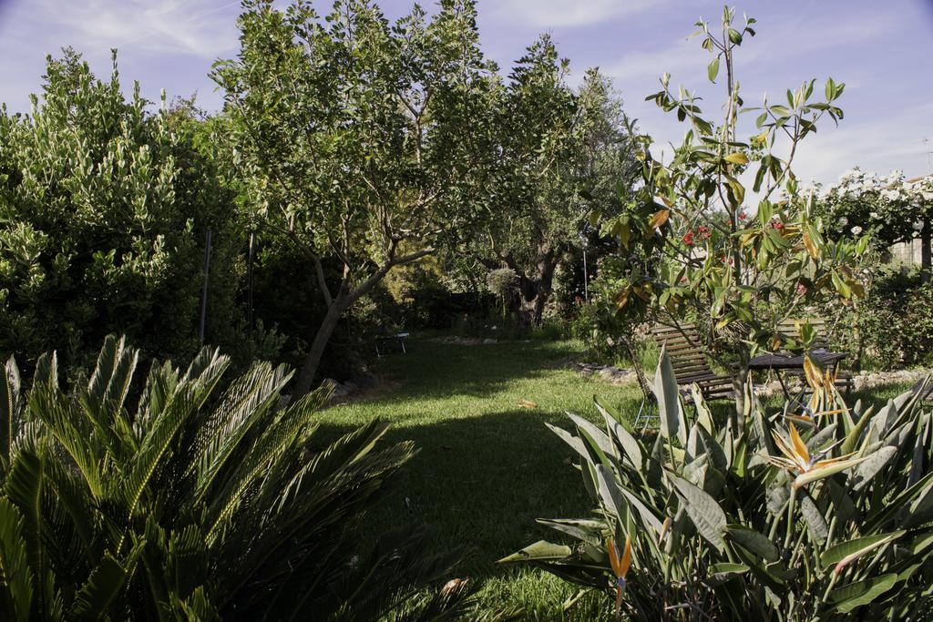 Il Vecchioliveto Di Ornella Bed & Breakfast Marrùbiu Eksteriør bilde