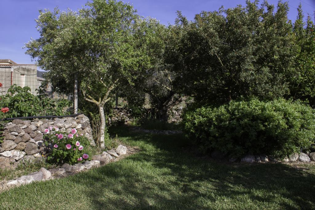 Il Vecchioliveto Di Ornella Bed & Breakfast Marrùbiu Eksteriør bilde