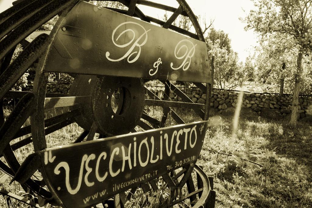 Il Vecchioliveto Di Ornella Bed & Breakfast Marrùbiu Eksteriør bilde
