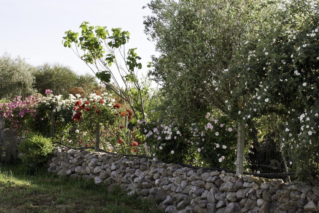Il Vecchioliveto Di Ornella Bed & Breakfast Marrùbiu Eksteriør bilde
