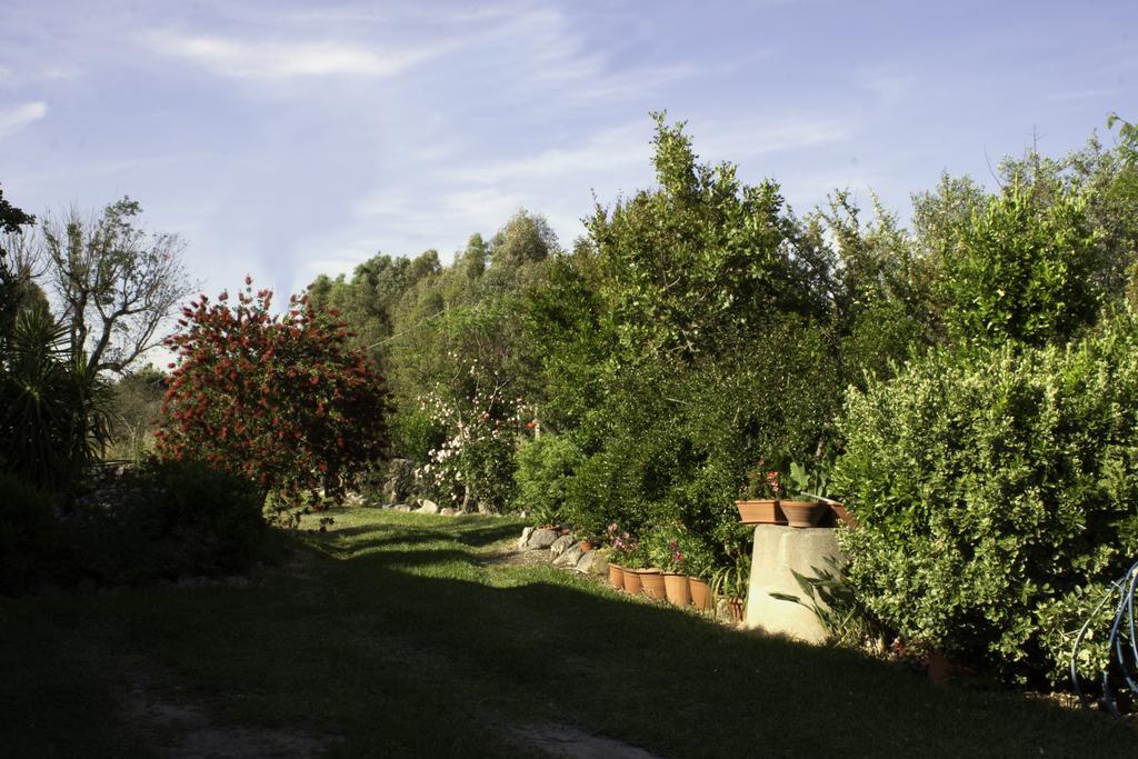 Il Vecchioliveto Di Ornella Bed & Breakfast Marrùbiu Eksteriør bilde