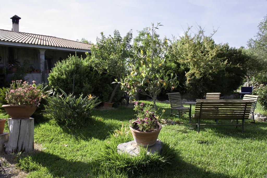 Il Vecchioliveto Di Ornella Bed & Breakfast Marrùbiu Eksteriør bilde