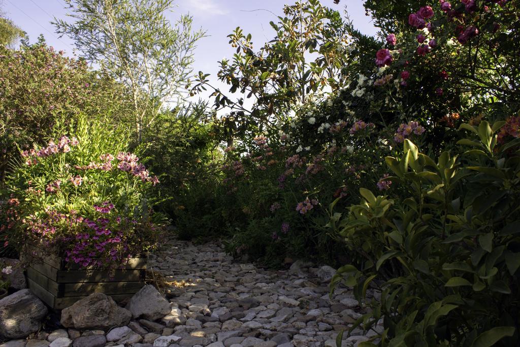 Il Vecchioliveto Di Ornella Bed & Breakfast Marrùbiu Eksteriør bilde